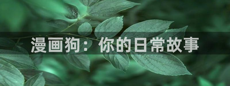 包子漫画网页版