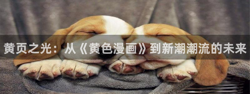 斗罗大陆漫画包子漫画：黄页之光：从《黄色漫画》到新潮潮流的未来