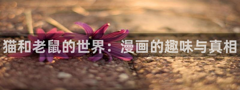 包子漫画免费漫画下拉式官网